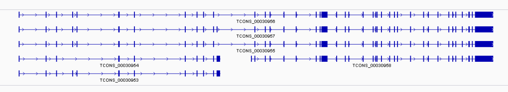 sample transcripts