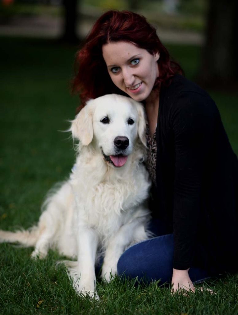 snow angel retrievers