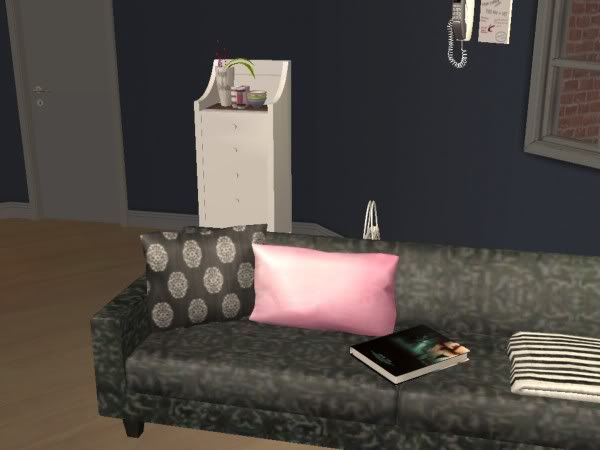 snapshot_00000008_3ac61468.jpg