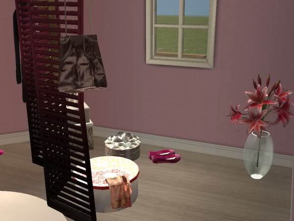 snapshot_00000008_dac616b8.jpg