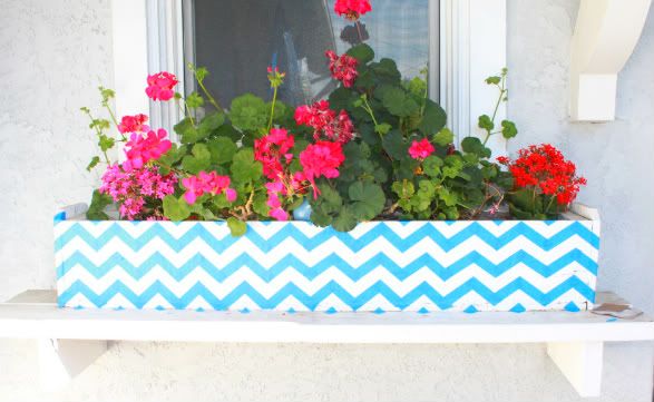 chevron box