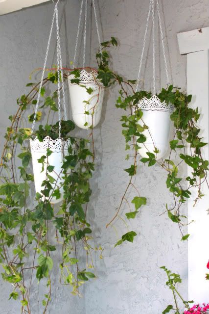 hanging planter
