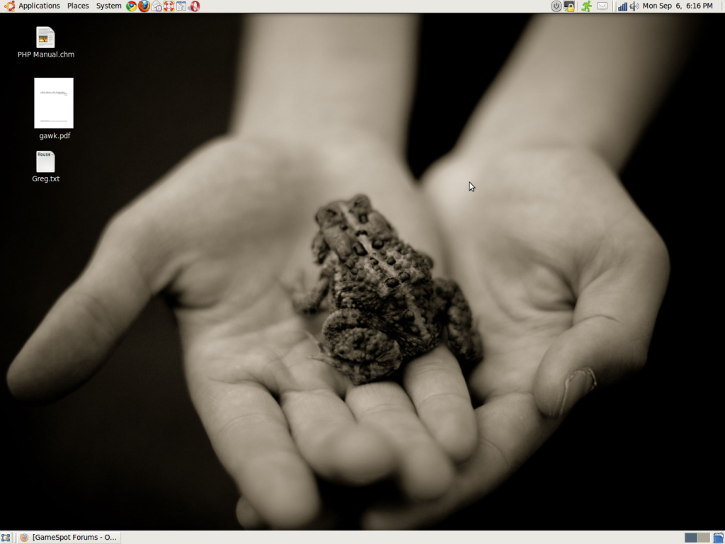 My Desktop