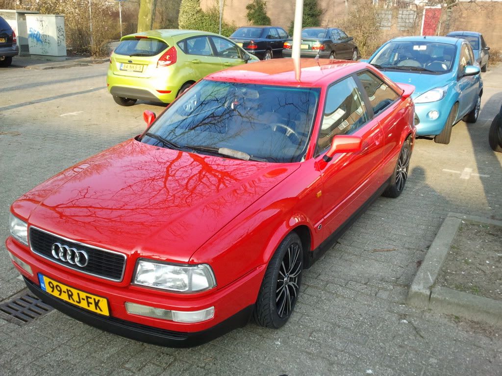 2011-03-16165306.jpg