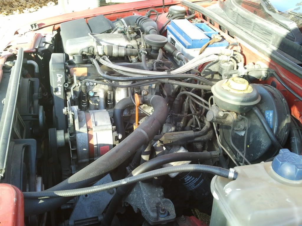 2011-11-04140656.jpg