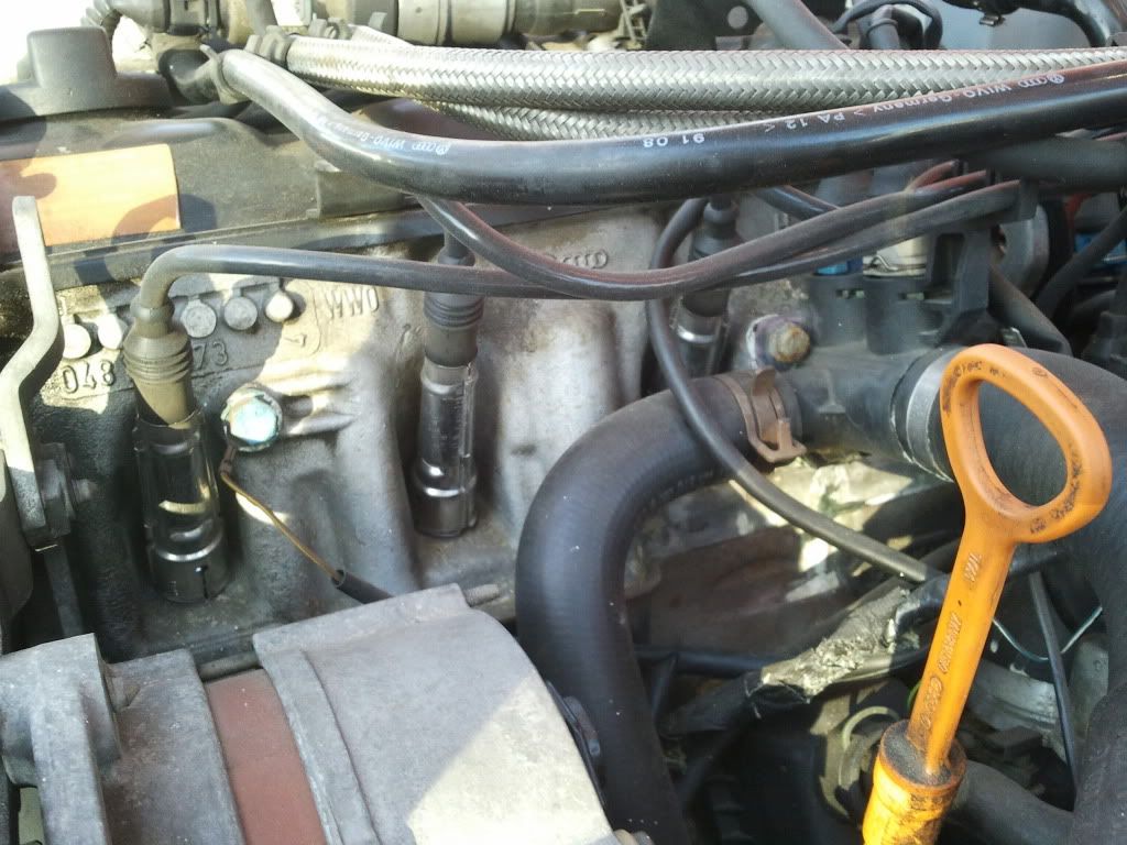 2011-11-04140732.jpg