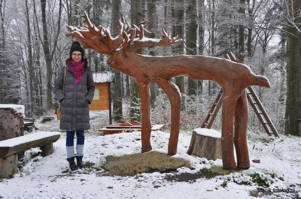 photo DSC_0179_zpsef15cb07.jpg