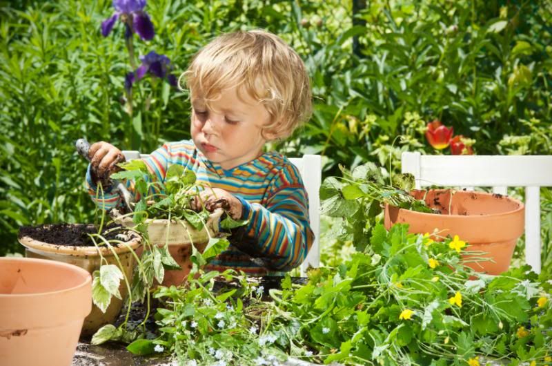  photo little-boy-gardener.jpg