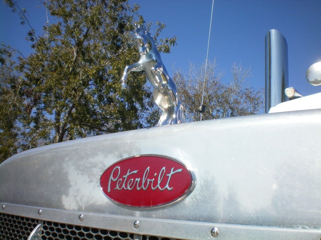 100_0024.jpg