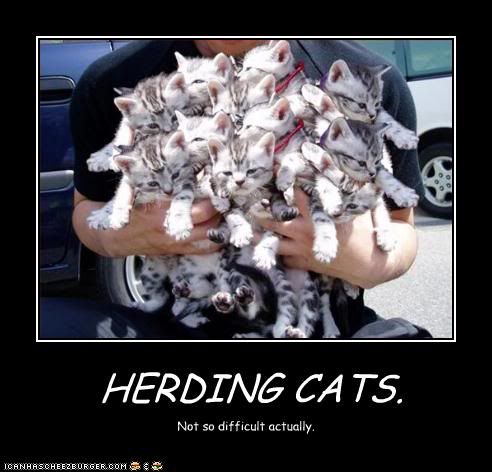HerdingCats1-poster1.jpg