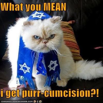 purrcumcision
