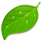 appIcon-2.png