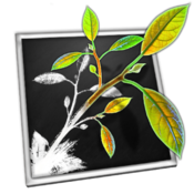 mnp-icon.png