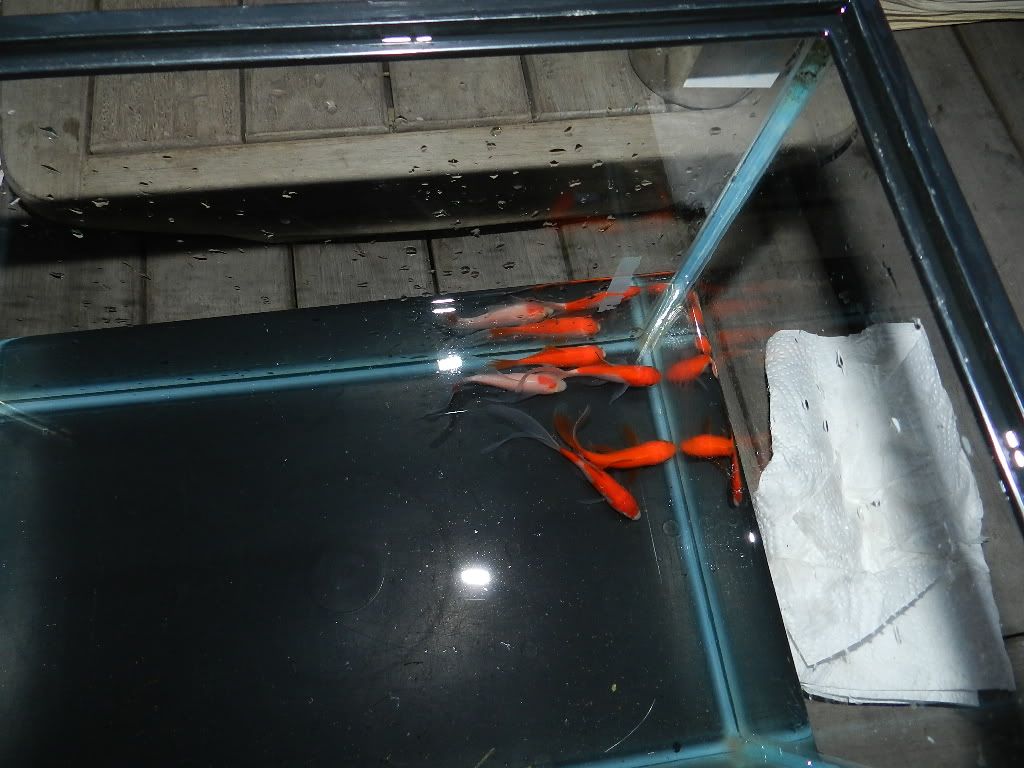 DSCN3830.jpg