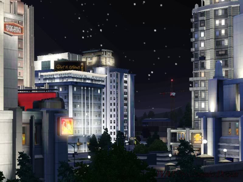 nightlife2.jpg