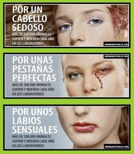 pruebas,experimentos,animales