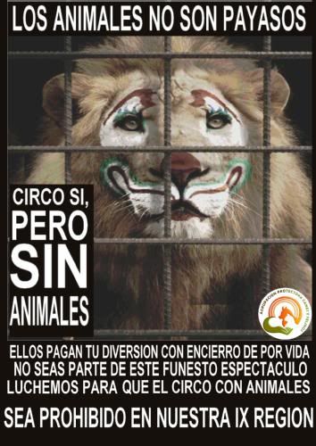 león,circo