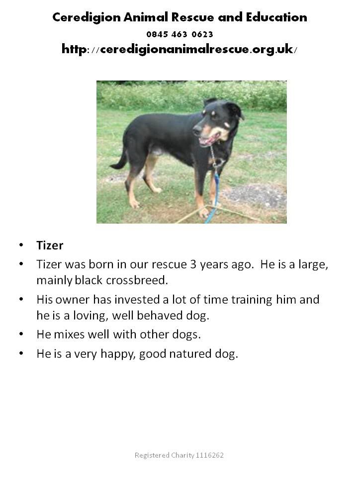  photo Posters-Tizer.jpg
