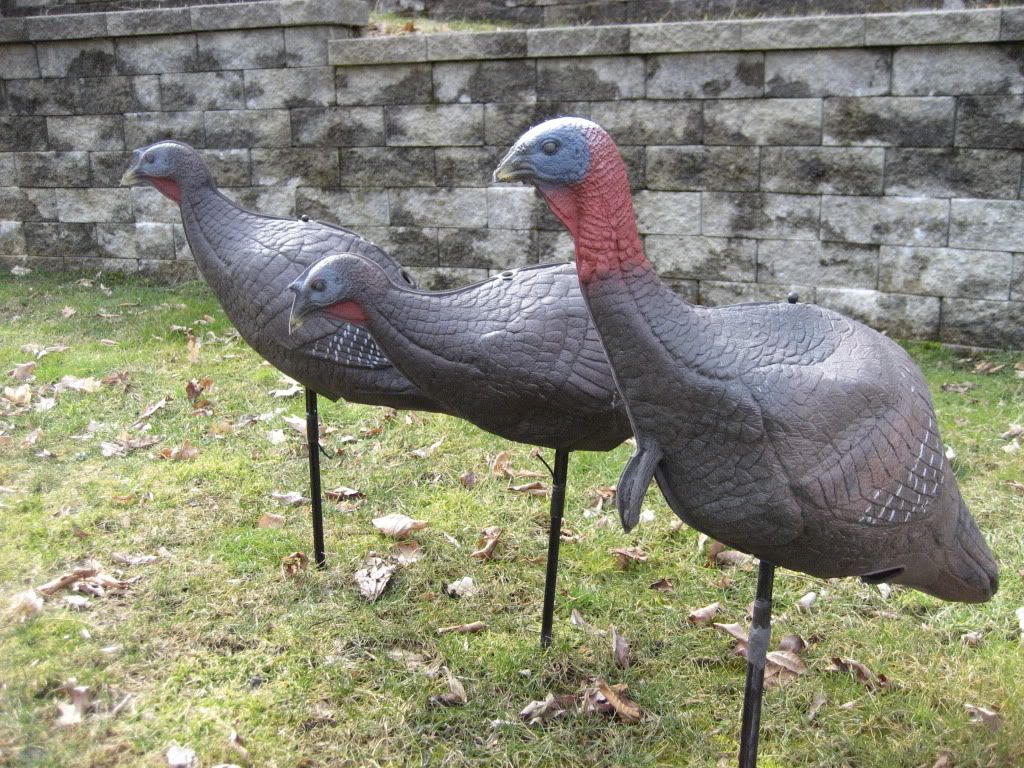 Carrylite Turkey decoys FOR SALE (PIC's) New Jersey Hunters