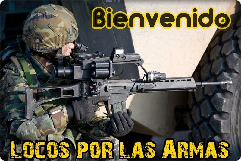 Rifle de Asalto Beretta AR-70/223 y AR-70/90 Rifle de Asalto Beretta AR-70/223 y AR-70/90