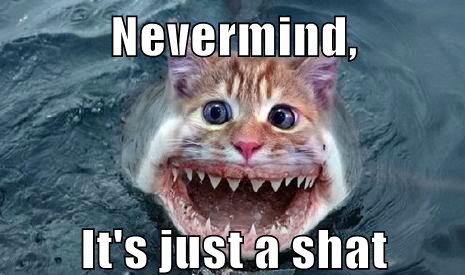 2shat.png