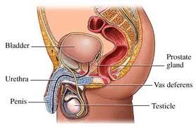 Familiar With Prostate Cancer