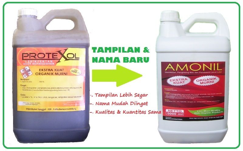 amonil amonilbaru BAU AMONIA DI KANDANG MUSNAH,TERNAK SEHAT, BUKTI NYATA PENGGUNAAN PROTEXOL