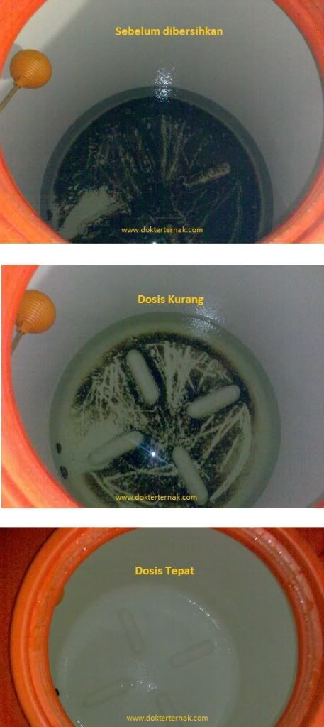 tangki air ayam| www.dokterternak.com
