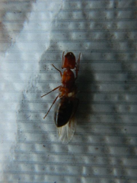 DSCN0671_zps42612371.jpg