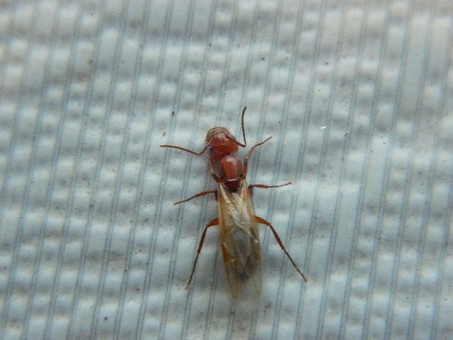 DSCN0672_zps4dda7692.jpg