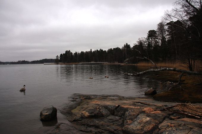 photo harmaahelsinki279_zpsb8ac21cd.jpg