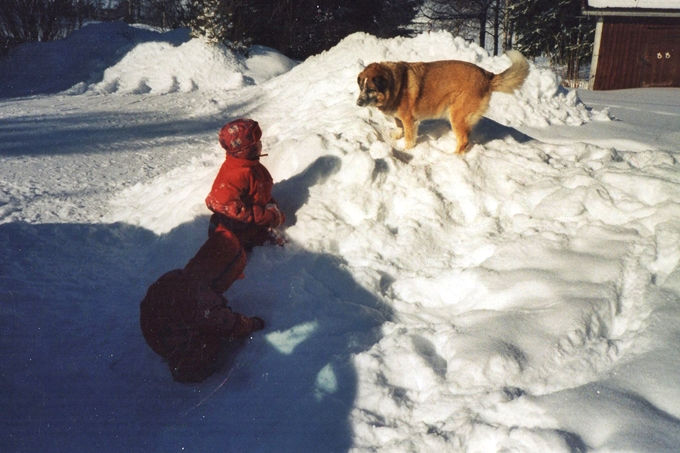 photo img018_zpse7f53af5.png