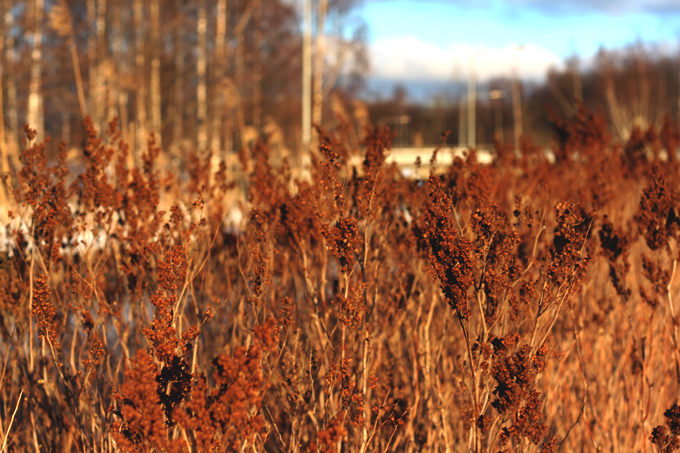 photo tuntuukevaumlaumlltauml294_zpsca6cd6eb.png