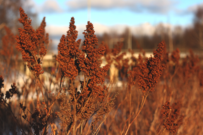photo tuntuukevaumlaumlltauml306_zps6465d378.png