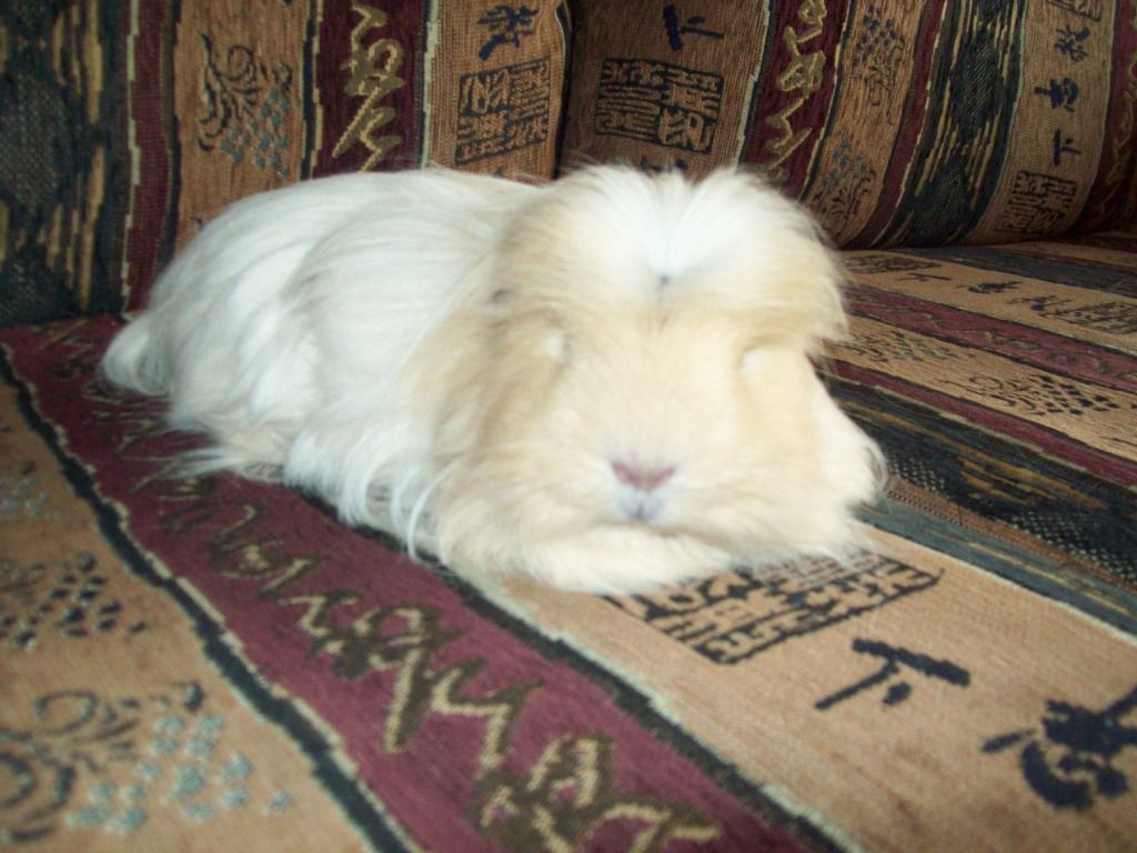 118_0427.jpg