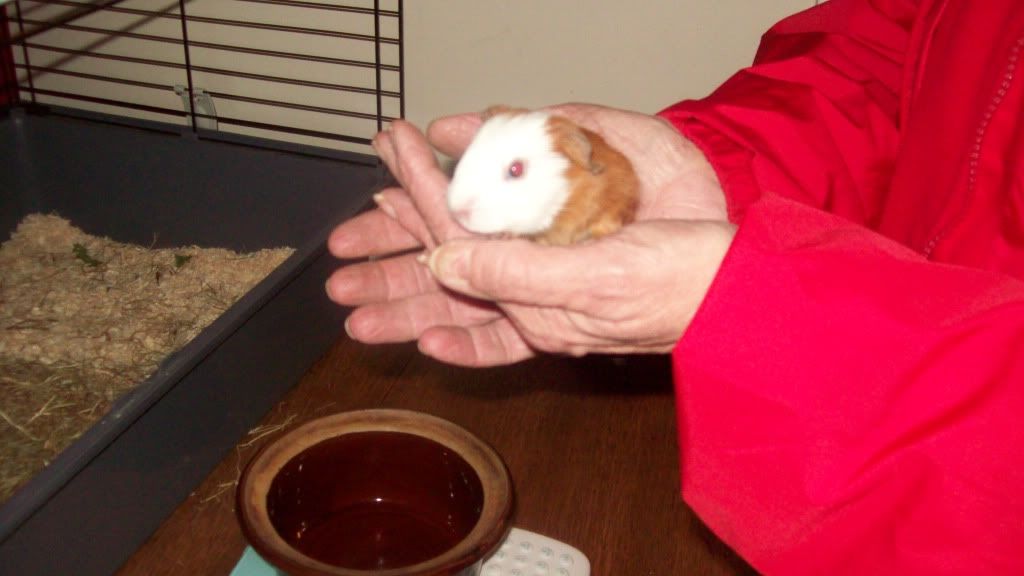118_0723.jpg