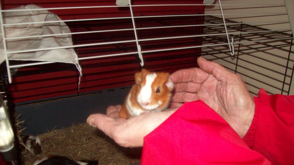 118_0725.jpg