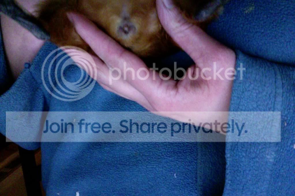 Photoon20-01-2012at20003.jpg