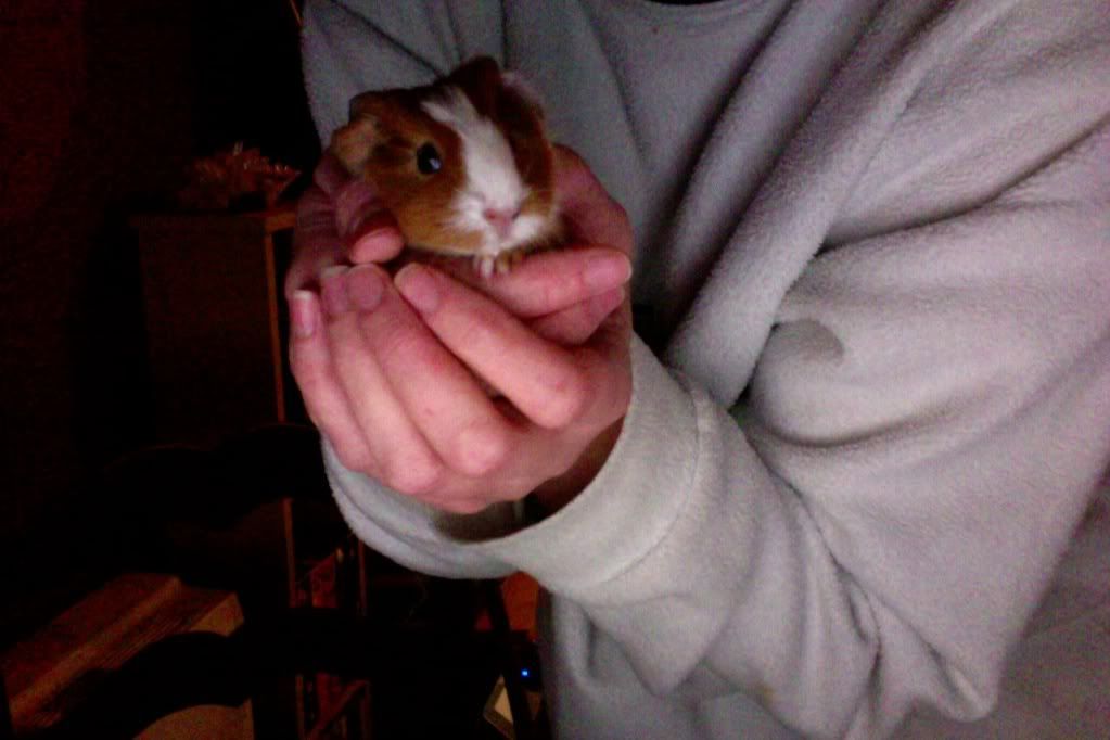 Photoon25-01-2012at17302.jpg
